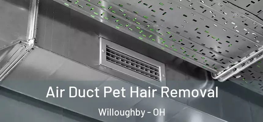 Air Duct Pet Hair Removal Willoughby - OH