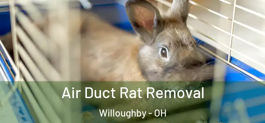  Air Duct Rat Removal Willoughby - OH