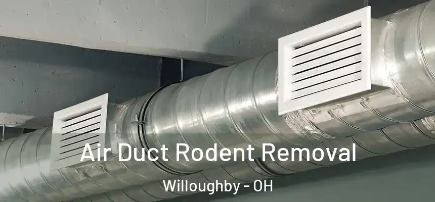  Air Duct Rodent Removal Willoughby - OH