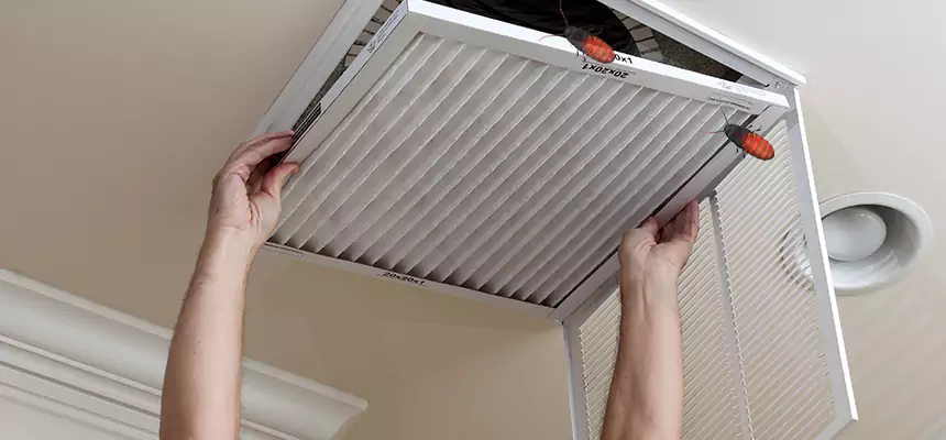 Preventive Cockroach-Proofing for Ducts in Willoughby