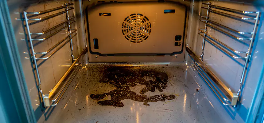 Our Dryer Vent Mold Cleaning Services in Willoughby, OH