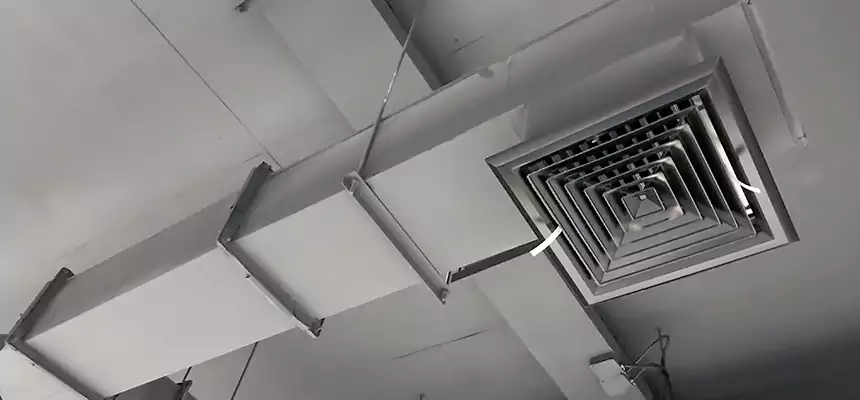 Our Rodent Droppings In Vents Services in Willoughby, OH