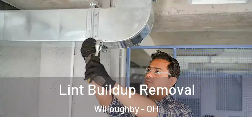  Lint Buildup Removal Willoughby - OH