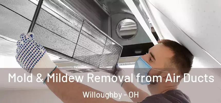  Mold & Mildew Removal from Air Ducts Willoughby - OH