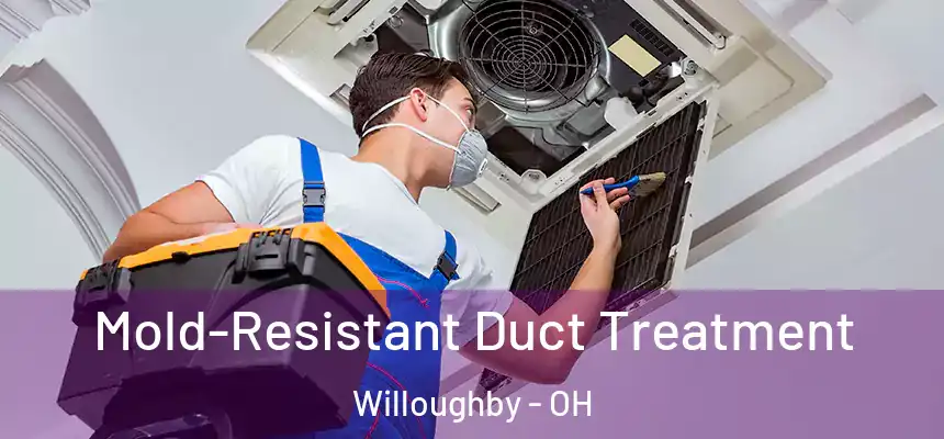  Mold-Resistant Duct Treatment Willoughby - OH