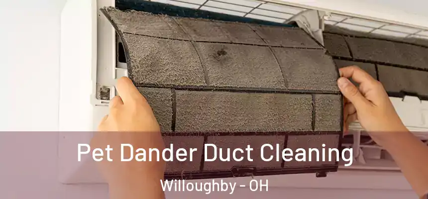  Pet Dander Duct Cleaning Willoughby - OH