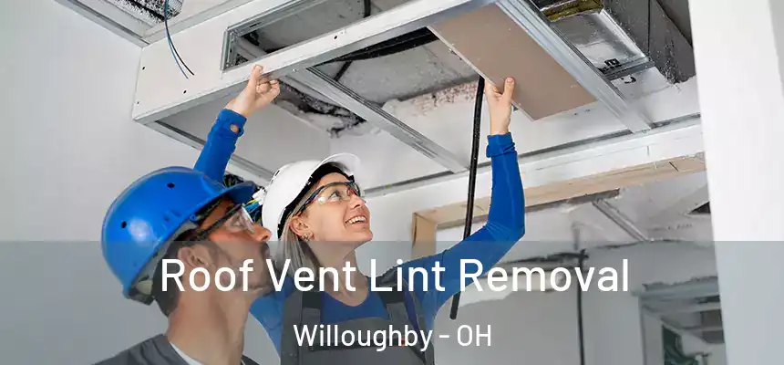  Roof Vent Lint Removal Willoughby - OH
