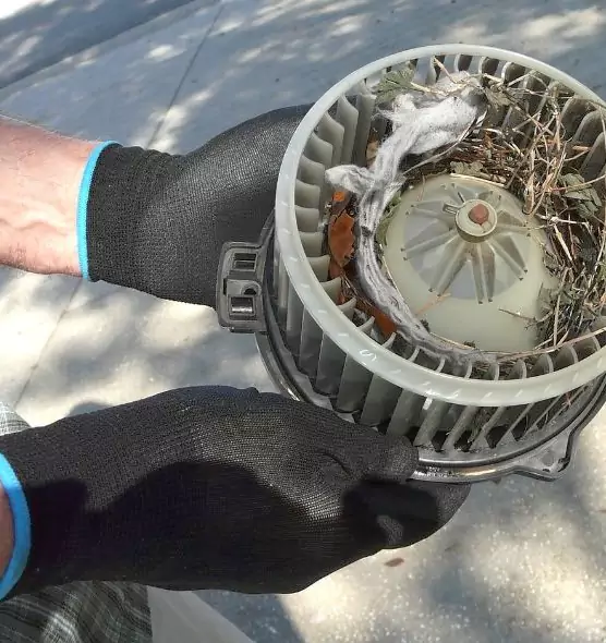 About Air Duct Rat Removal in Willoughby, OH