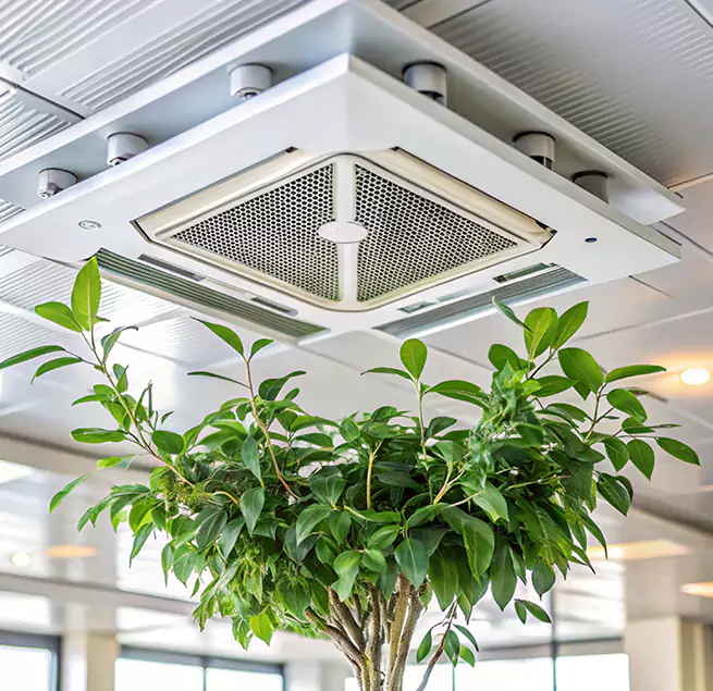 Why Homeowners & Businesses Trust Us in Willoughby, OH?