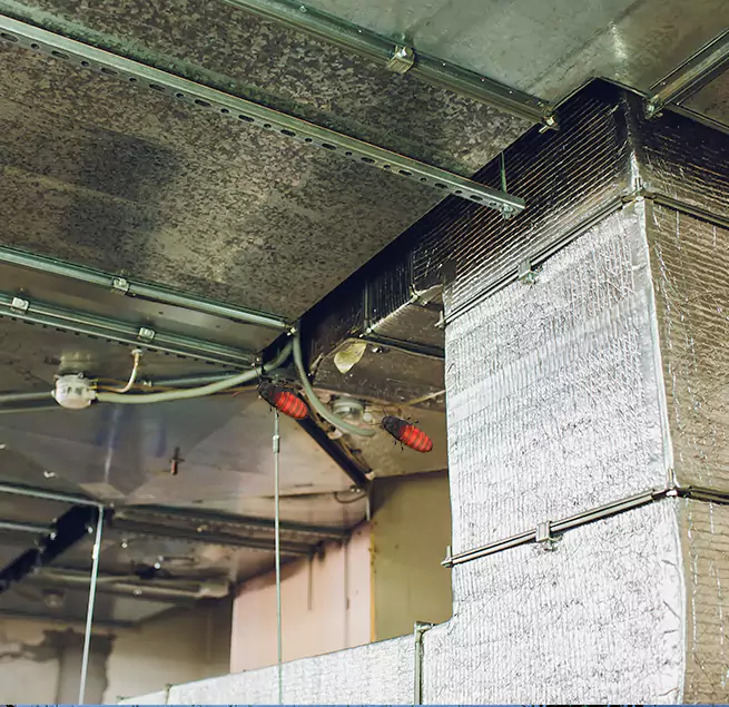 Why Homeowners & Businesses Trust Us Willoughby, OH?