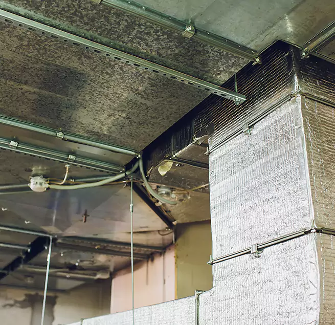 Why Homeowners & Businesses Trust Us in Willoughby, OH?